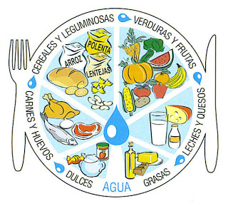 Plato Alimenticio